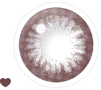 ビギナーチョコレートレンズ画像