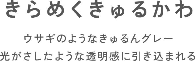 きらめくきゅるかわ ウサギのようなきゅるんグレー光がさしたような透明感に引き込まれる