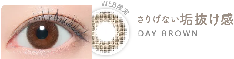 WEB限定　さりげない垢抜け感　DAY BROWN　デイブラウン