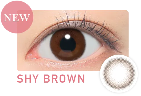 SHY BROWN シャイブラウン