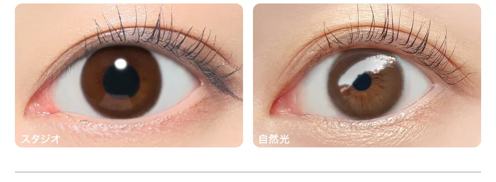 SHY BROWN シャイブラウン 着眼画像