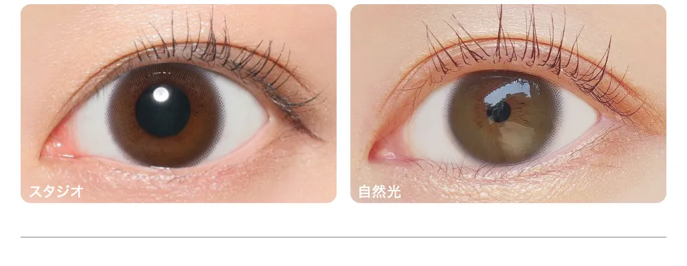 MUUSE BROWN ムースブラウン 着眼画像