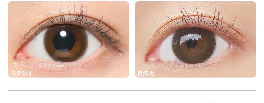 BROWN ブラウン 着眼画像