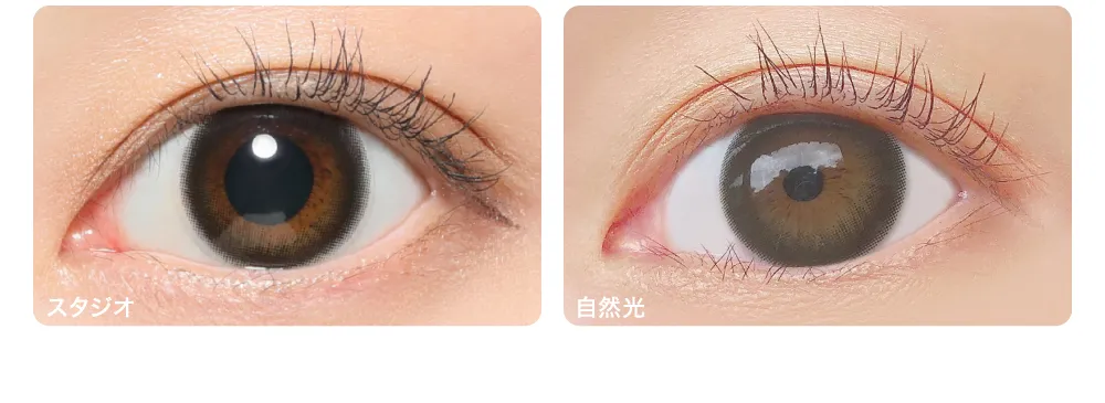 BLACK ブラック 着眼画像