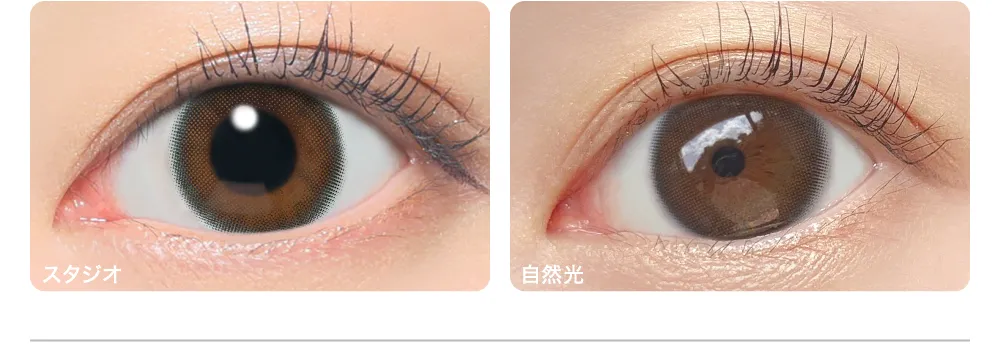 Melty More メルティモア 着眼画像