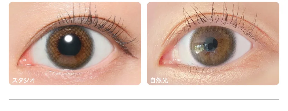 Hailey ヘイリー 着眼画像