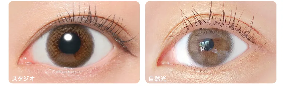 Bianca ビアンカ 着眼画像