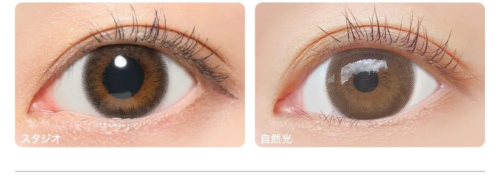 Sheer Sable シアーセーブル 着眼画像