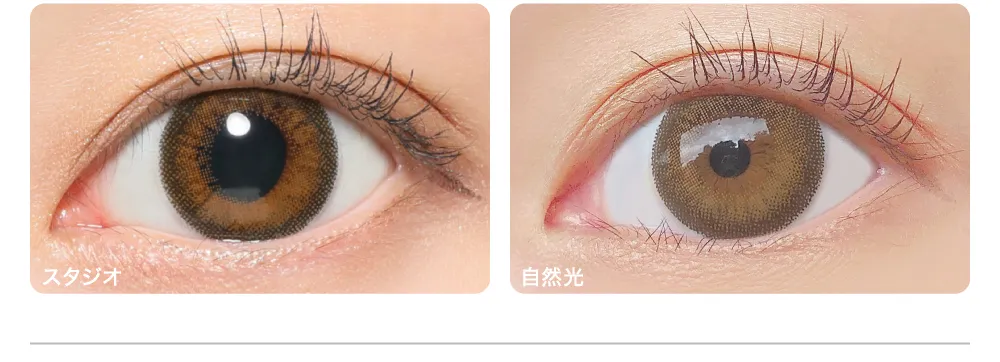 Praline Bran プラリネブラン 着眼画像