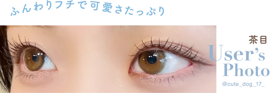 User’sPhoto 茶目 @cute_dog_17_ ふんわりフチで可愛さたっぷり