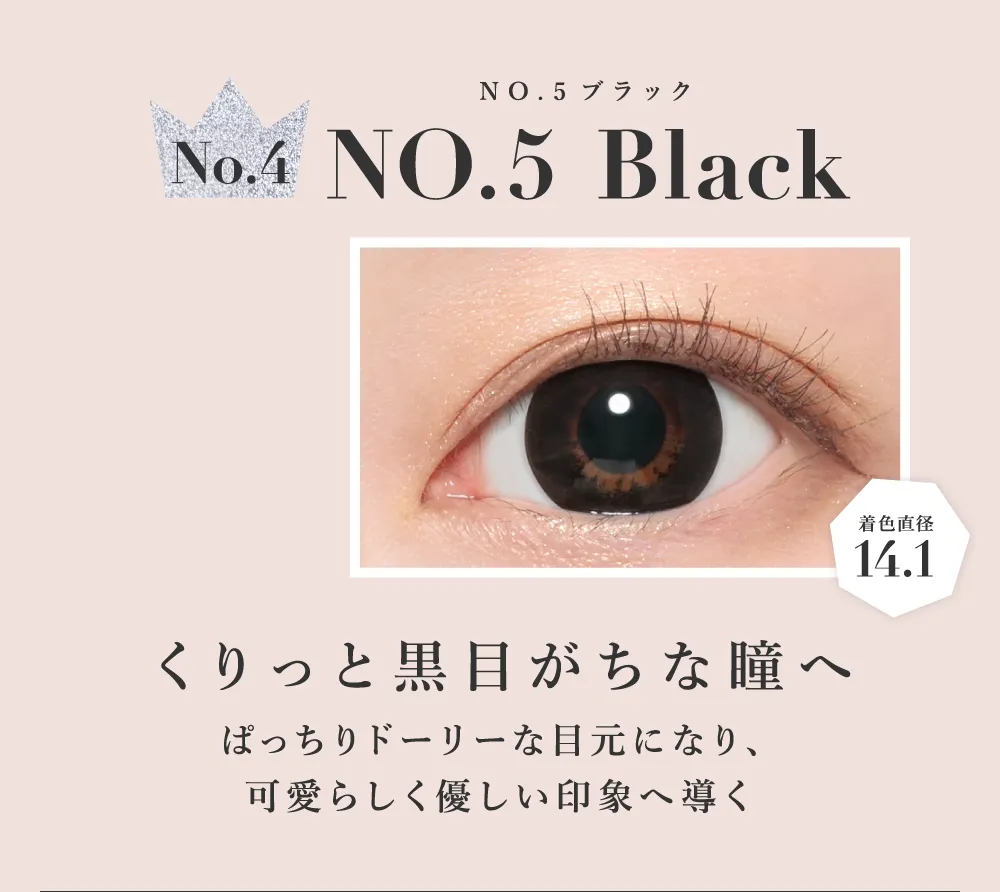 NO.5ブラック くりっと黒目がちな瞳へ