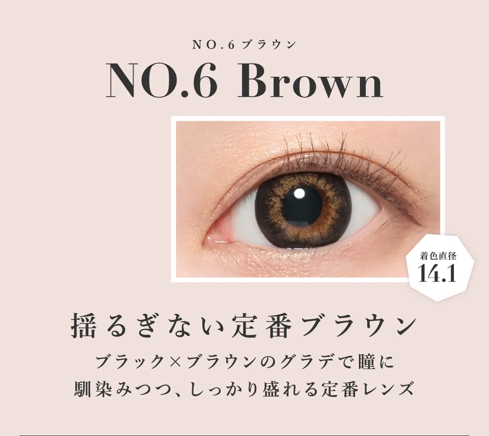 NO.6ブラウン 揺るぎない定番ブラウン