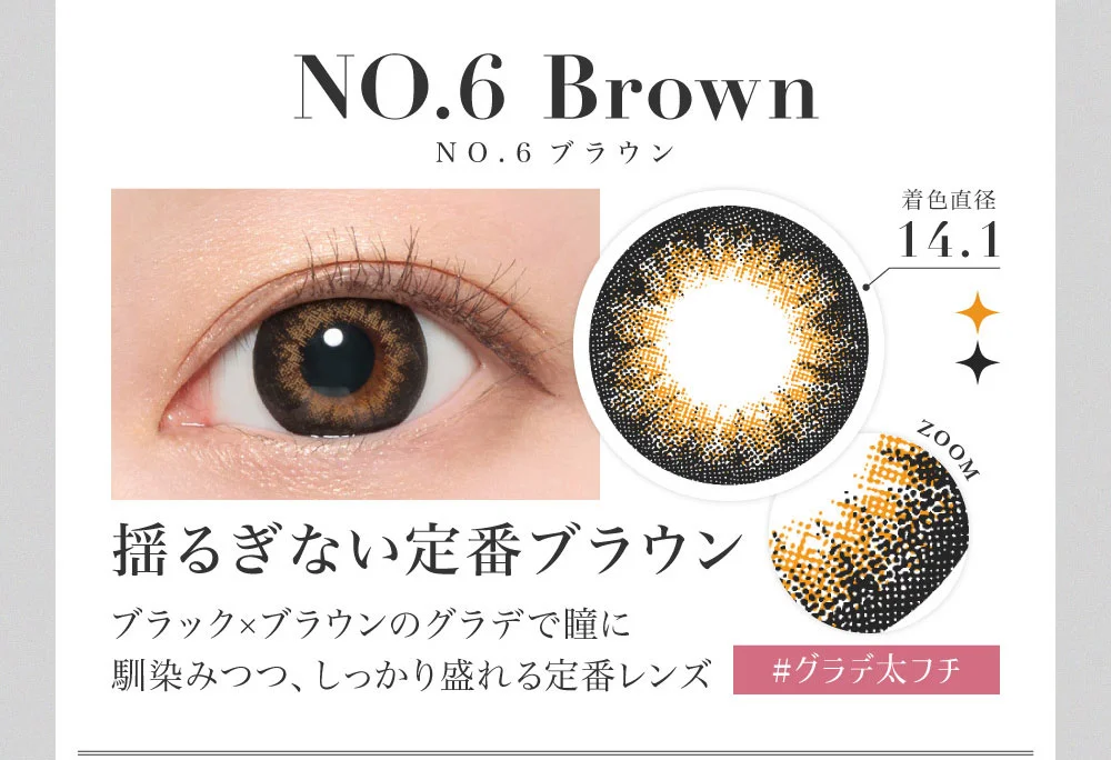 NO.6ブラウン NO.6 Brown
