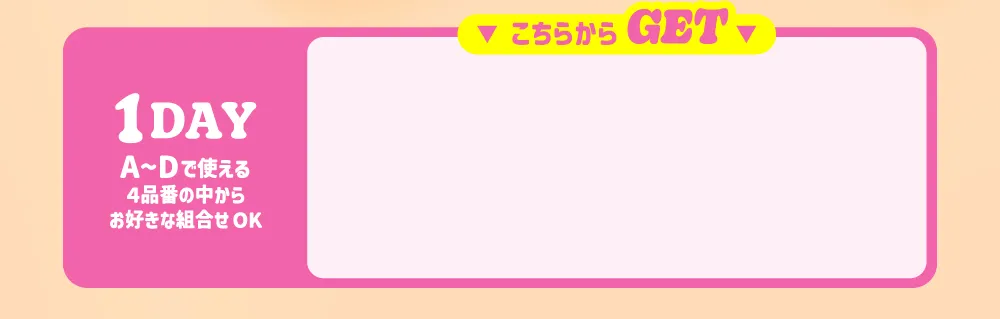 1DAY A~Dで使える4品番の中からお好きな組合せOK